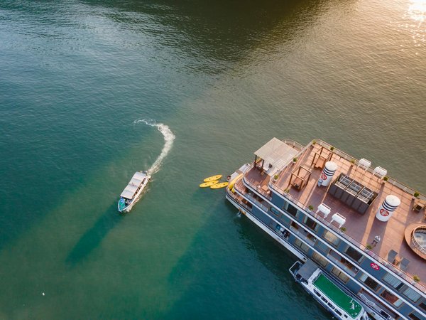 Top activités d'accrobranche et tyrolienne à saint eulalie