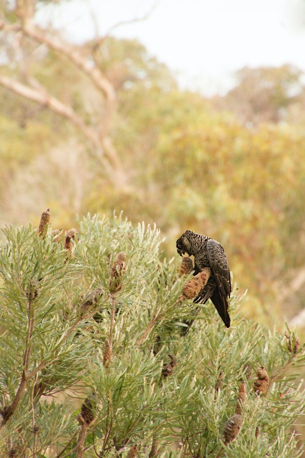 les meilleurs endroits pour observer la faune et la flore
