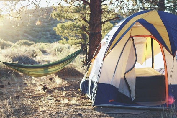 camping et observation des orques : les destinations privilégiées